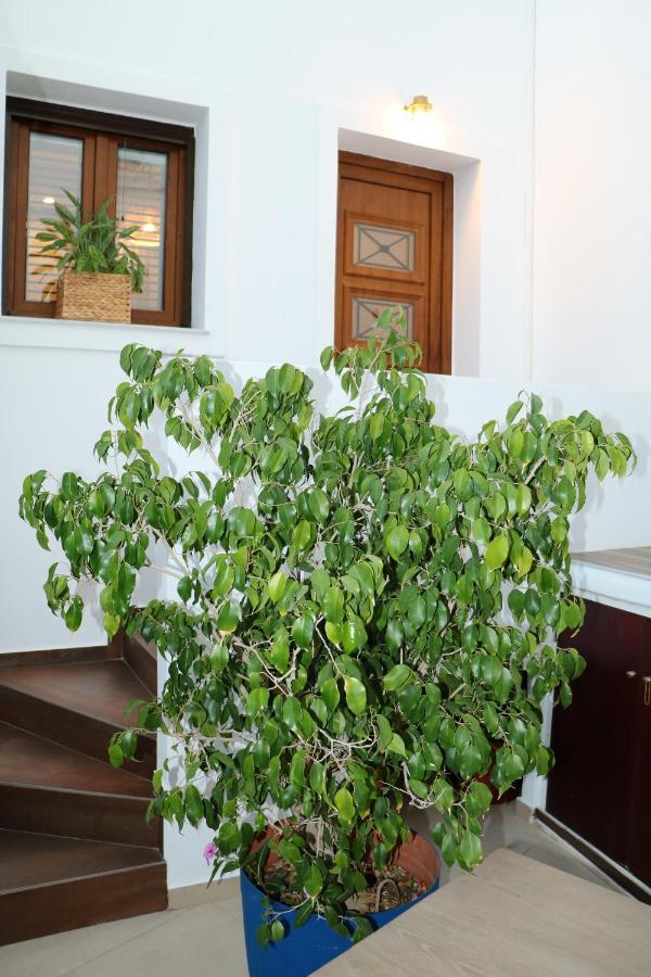 Angelica'S Deluxe Rooms In Adamas Екстер'єр фото